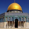 Mohammad القلب اليتيم